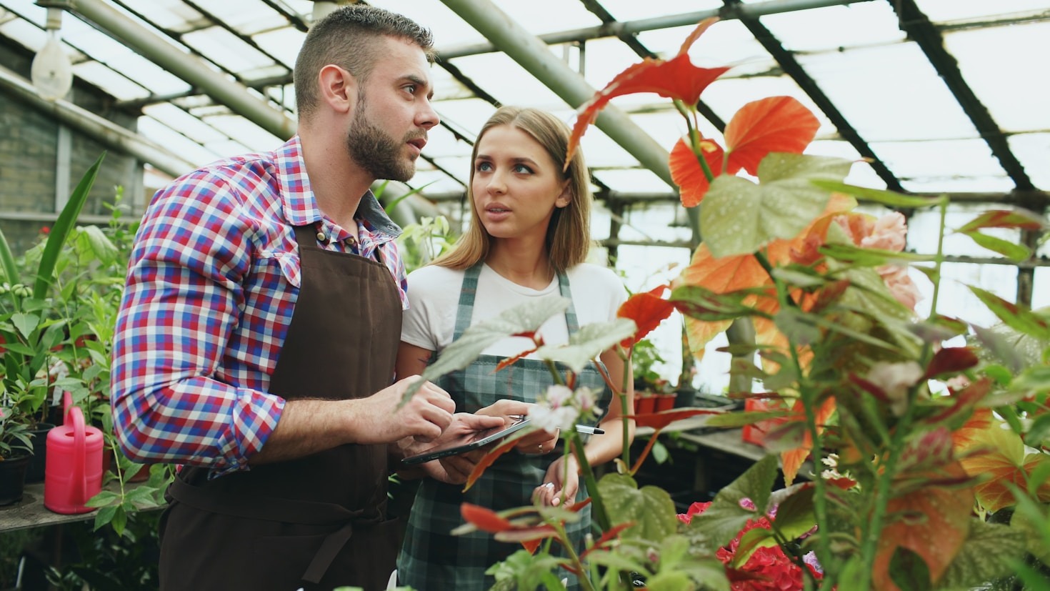 The Role of Tech in Social Innovation