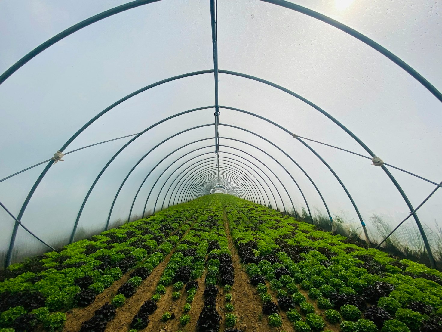 Why Sustainable Living Depends on Simple Innovations
